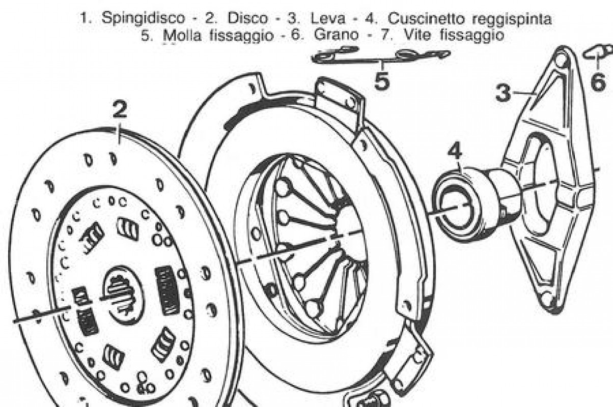 spingidisco