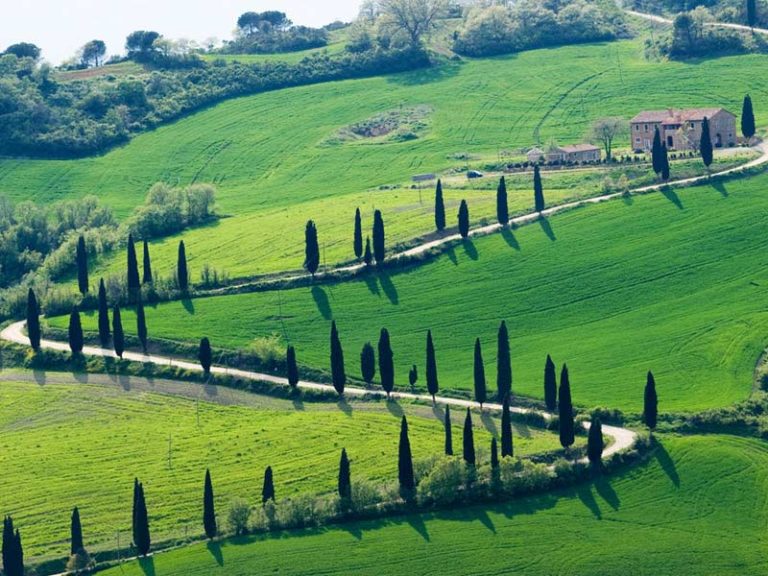 Chianti strada tra le colline