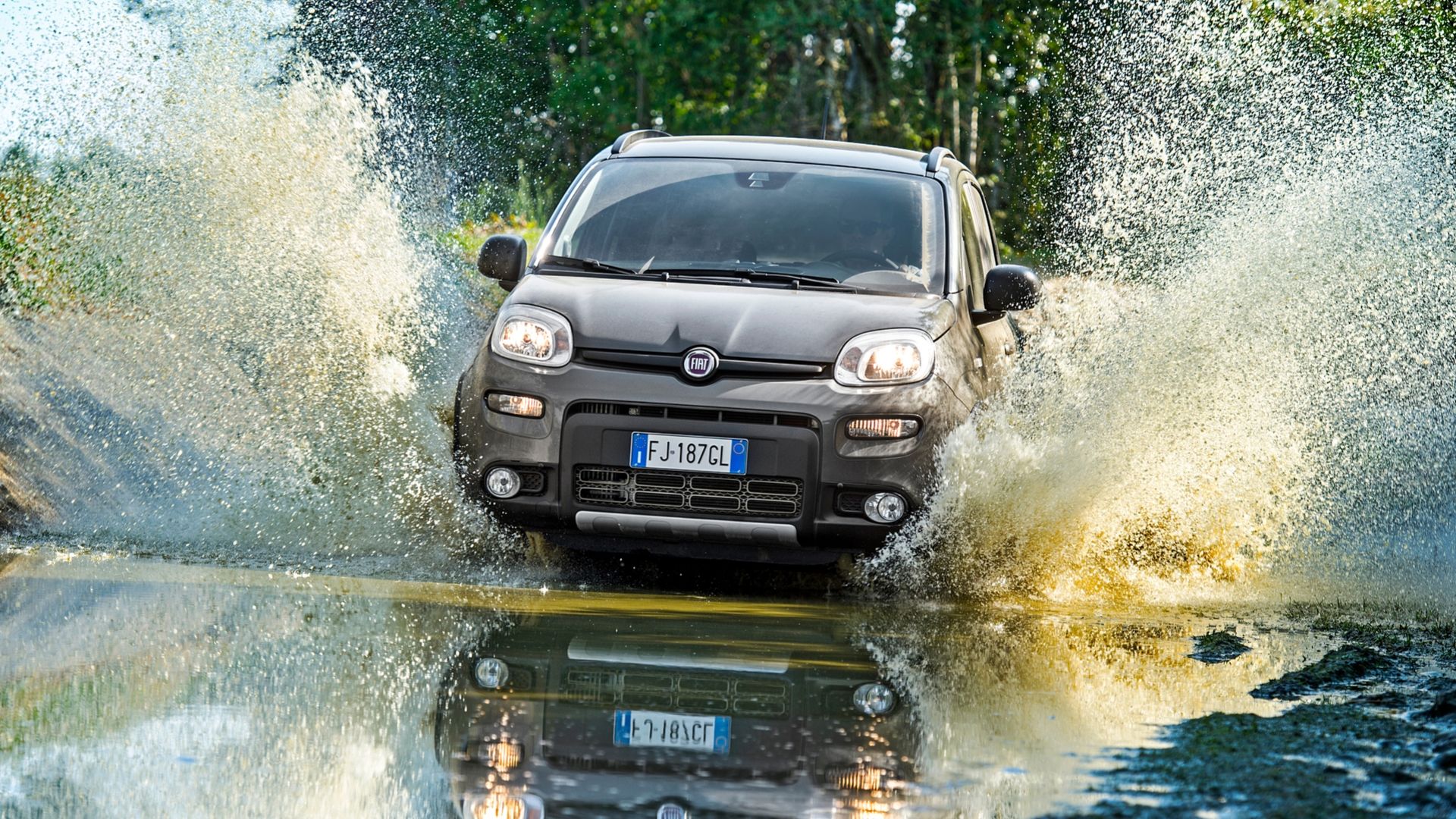 fiat panda