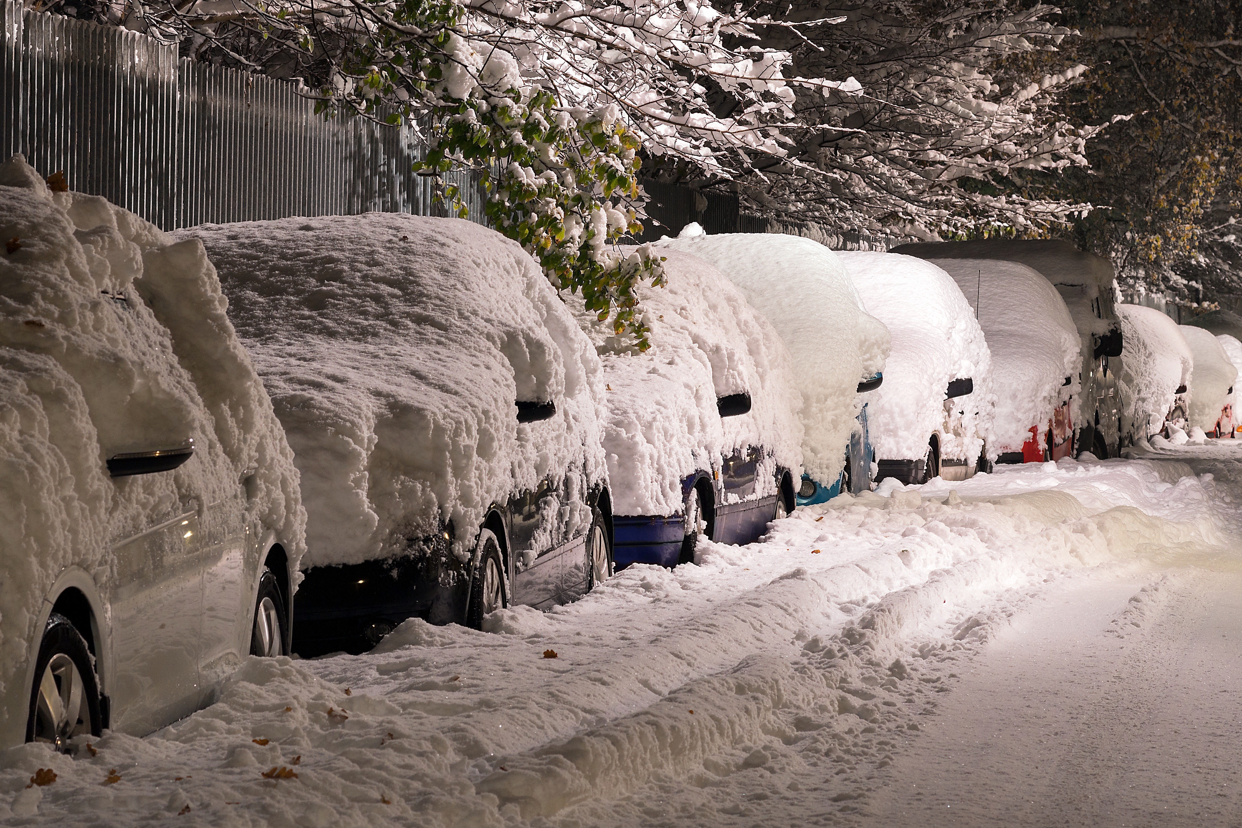 auto elettriche al freddo