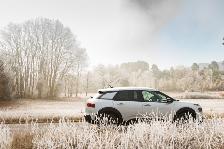 Citroen C4 cactus