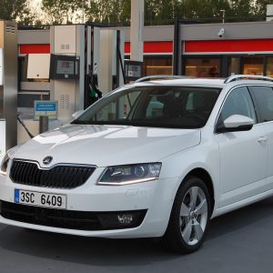 big-octavia-g-tec-020