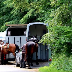 Obblighi lungo autostrade e strade extraurbane