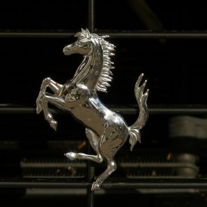 cavallino-rampante-97528_1280