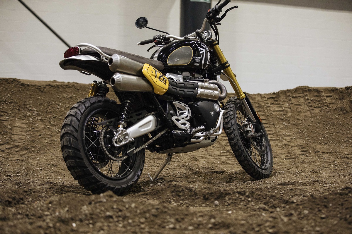 Focus Triumph Scrambler 1200