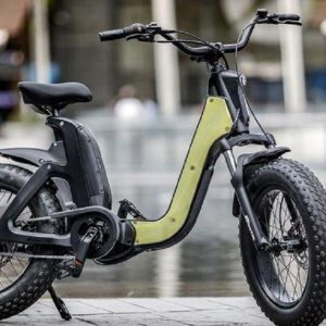 Issimo-Electric-Bike-Fantic