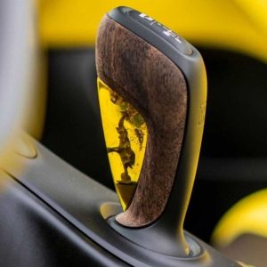 Cambio jurassic Park