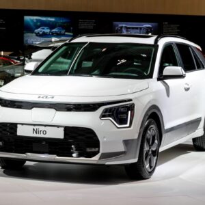 kia niro elettrica