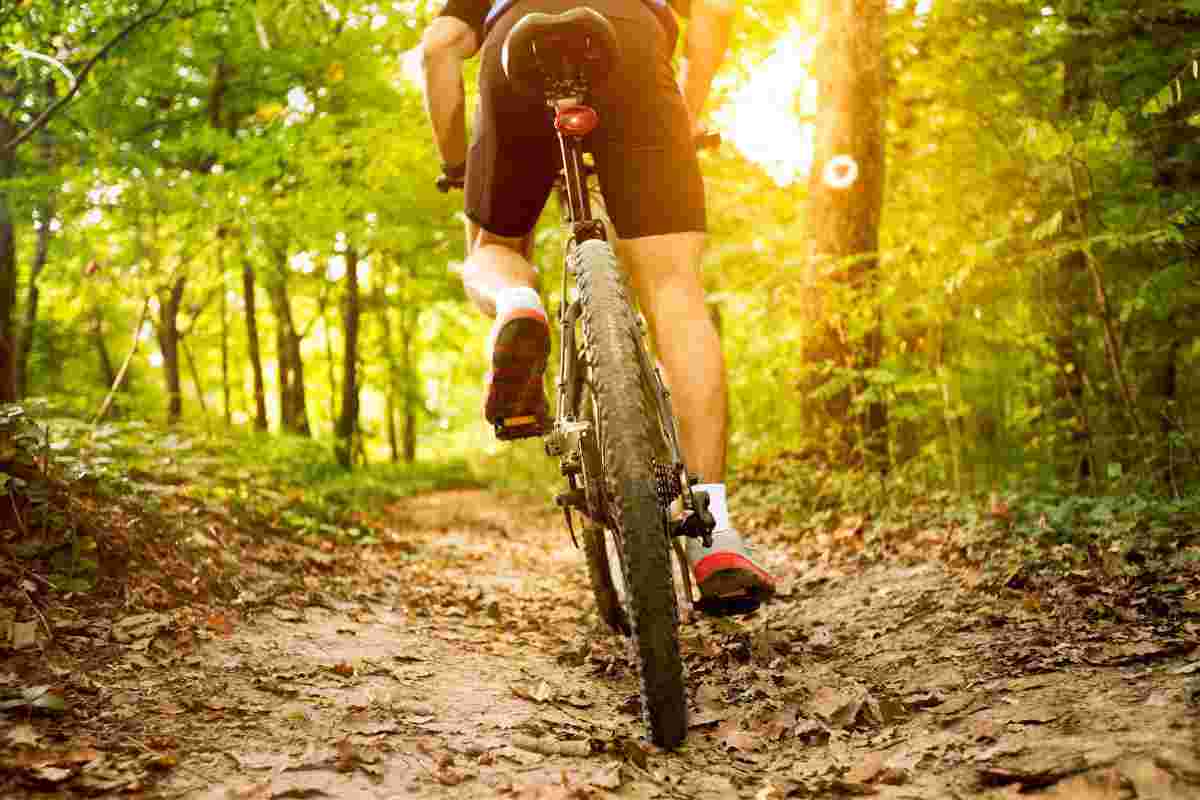 Quale bicicletta scegliere