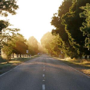 alpine road
