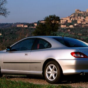 001-coupe-dimenticata-leone-quotazioni-2025
