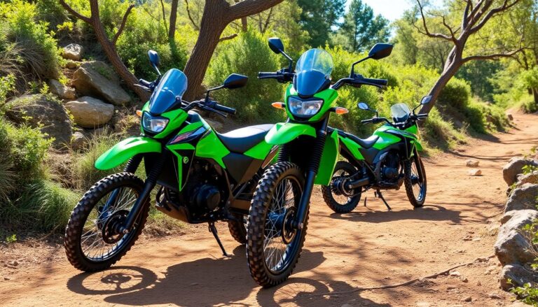 scopri le caratteristiche uniche delle nuove kawasaki klx230 sherpa s e df guida completa e novita 1768959075